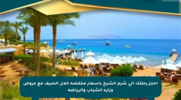 احجز رحلتك إلى شرم الشيخ بأسعار مخفضة خلال الصيف مع عروض وزارة الشباب والرياضة